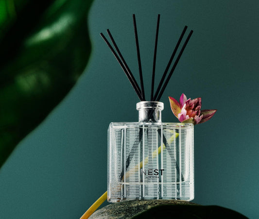 Reed Diffuser FOREST RAIN